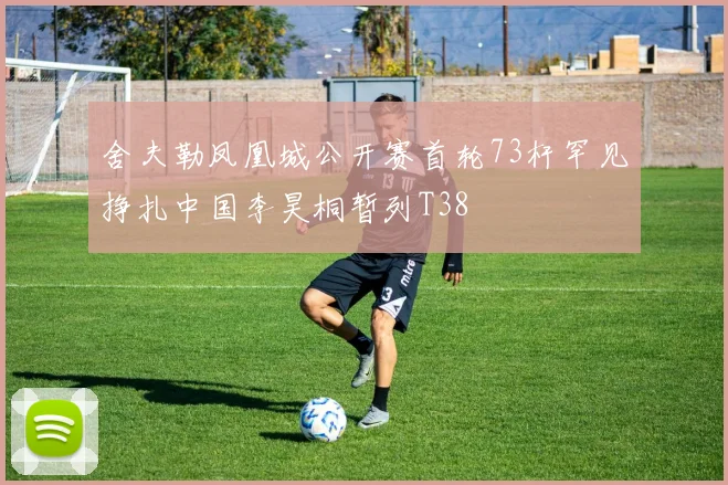 舍夫勒凤凰城公开赛首轮73杆罕见挣扎中国李昊桐暂列T38